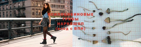 а пвп мука Заводоуковск